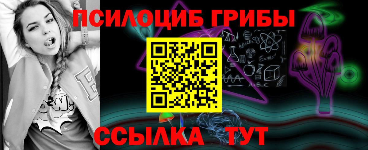 Галлюциногенные грибы Psilocybine cubensis Каменск-Уральский